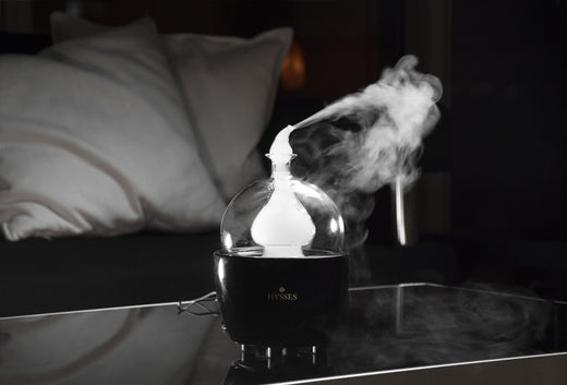 Exploring Nature's Own Indoor Air Solution with HYSSES
