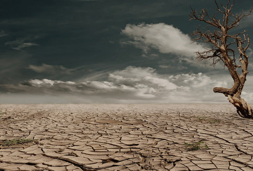 What Should I Do When My Skin is Dry?