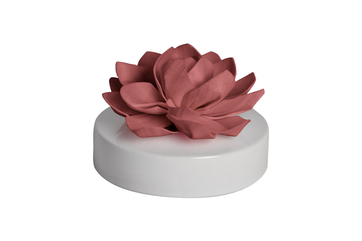 Big Bloom Solar Diffuser, Palmarosa Jasmine (Maroon Pink)