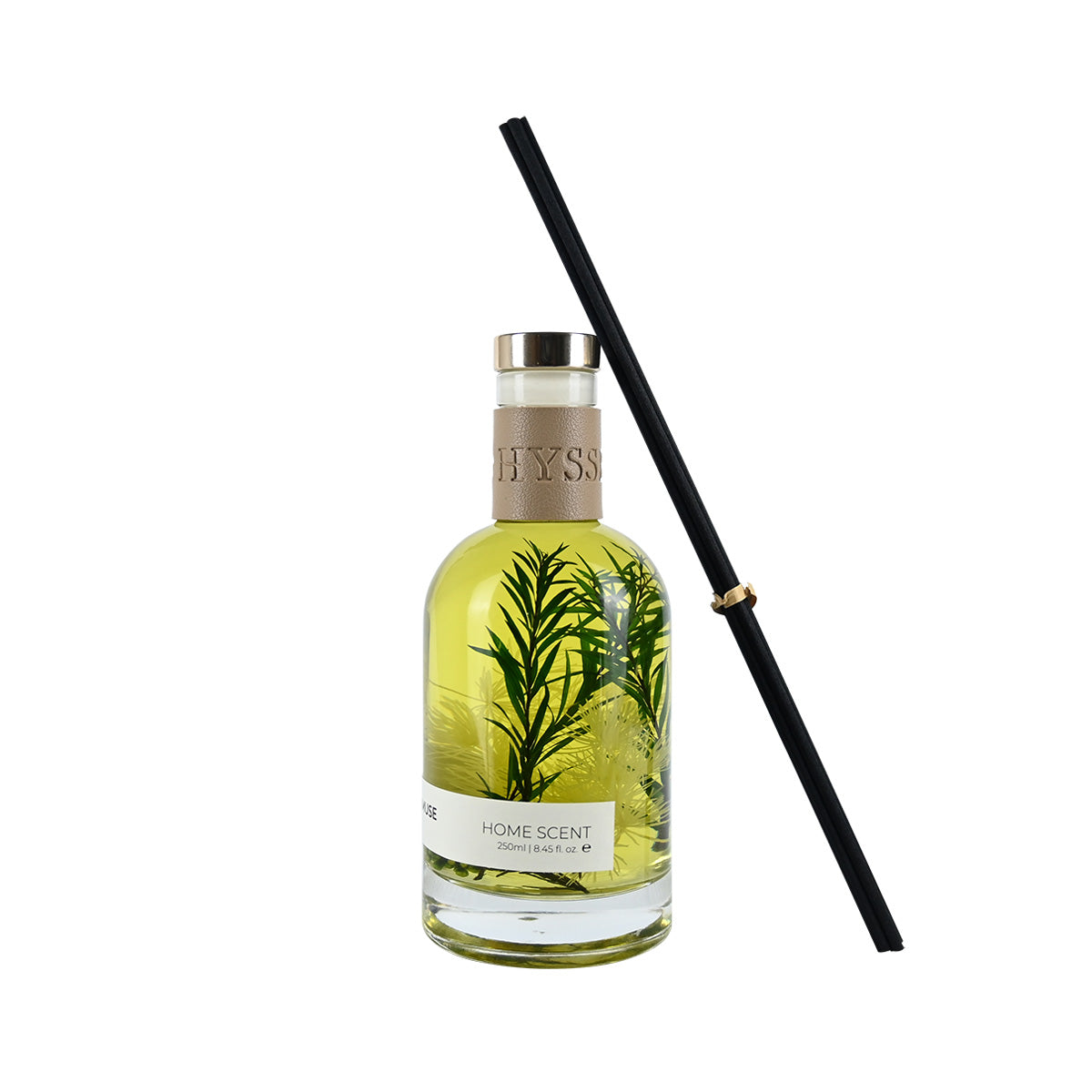 Meadow Muse, Rosemary Camellia