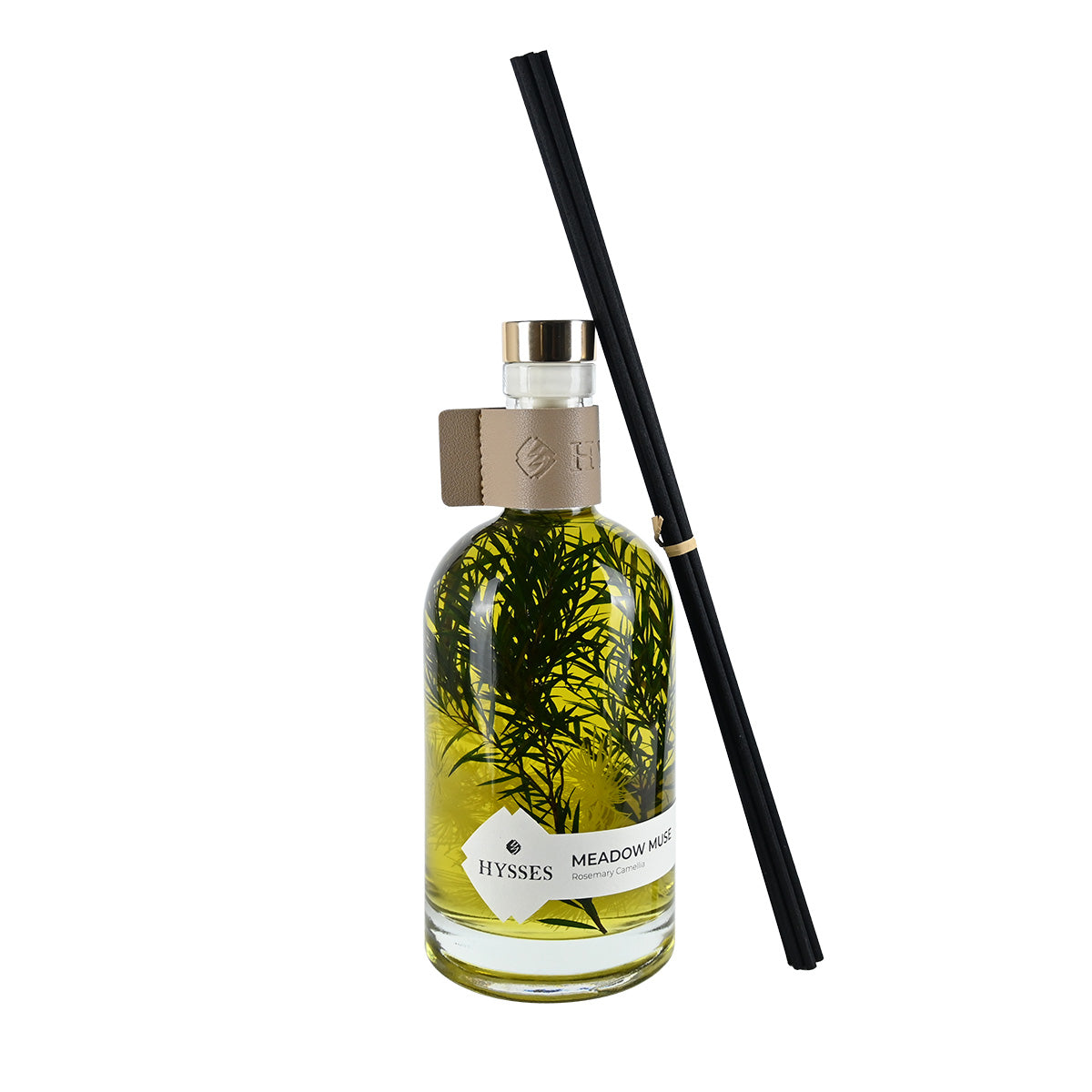 Meadow Muse, Rosemary Camellia