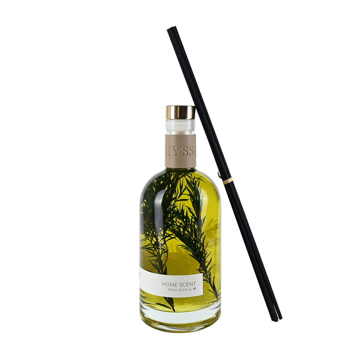 Meadow Muse, Rosemary Camellia