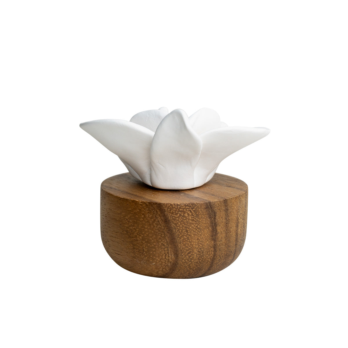 Flower Refreshment Scenting Clay Orchid