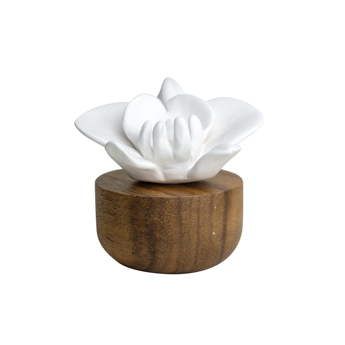 Flower Refreshment Scenting Clay Orchid