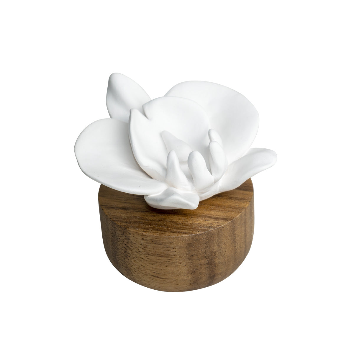 Flower Refreshment Scenting Clay Orchid
