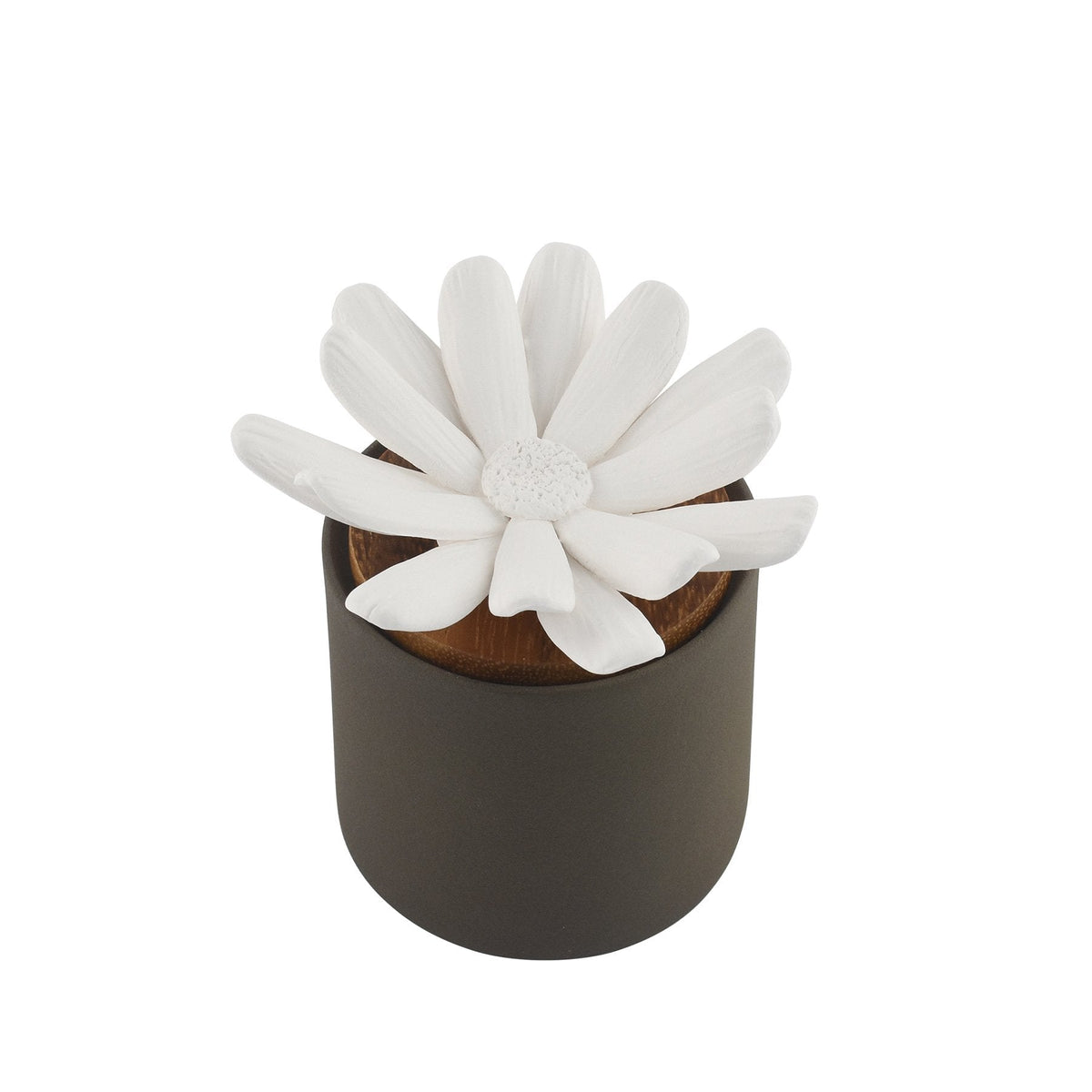 Bloomster Pot Clay Diffuser Daisy - Hysses Singapore