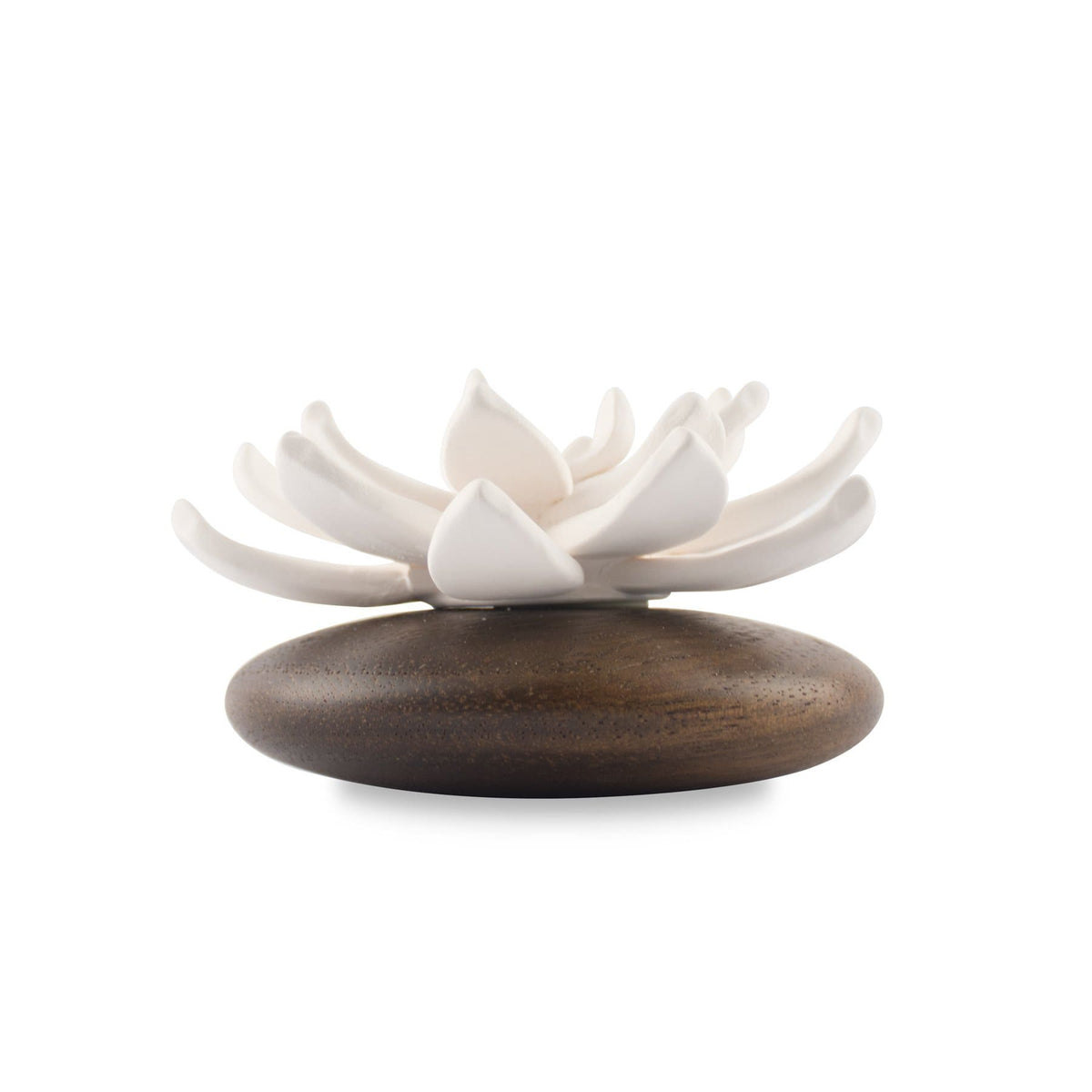 Hysses Home Scents Succulent Diffuser Scenting Clay Pathum